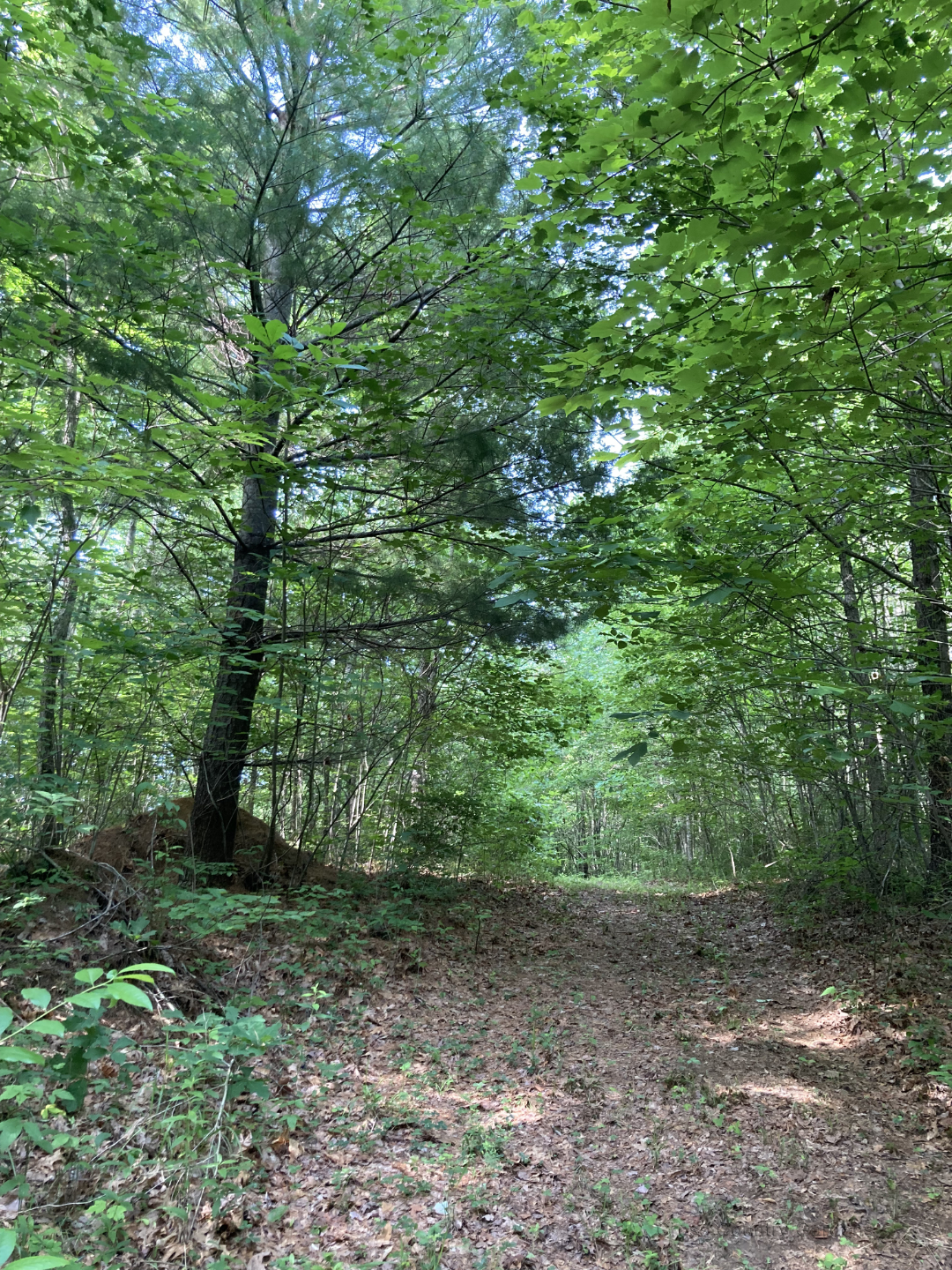Eastern Boundary Trail