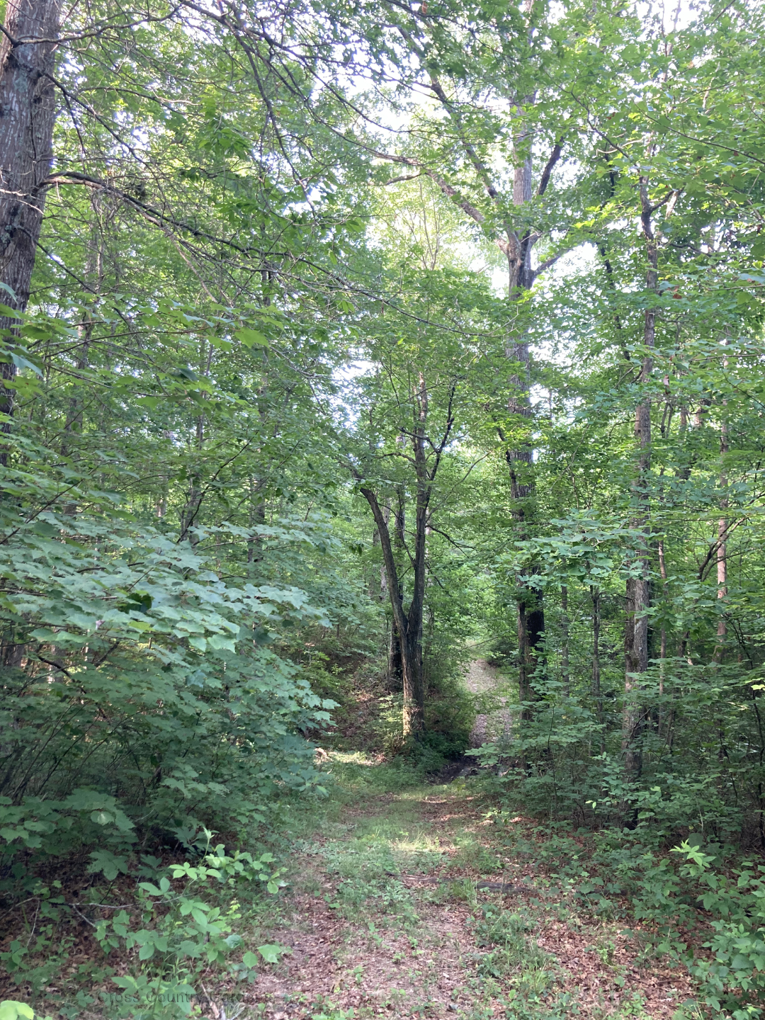 Eastern Boundary Trail
