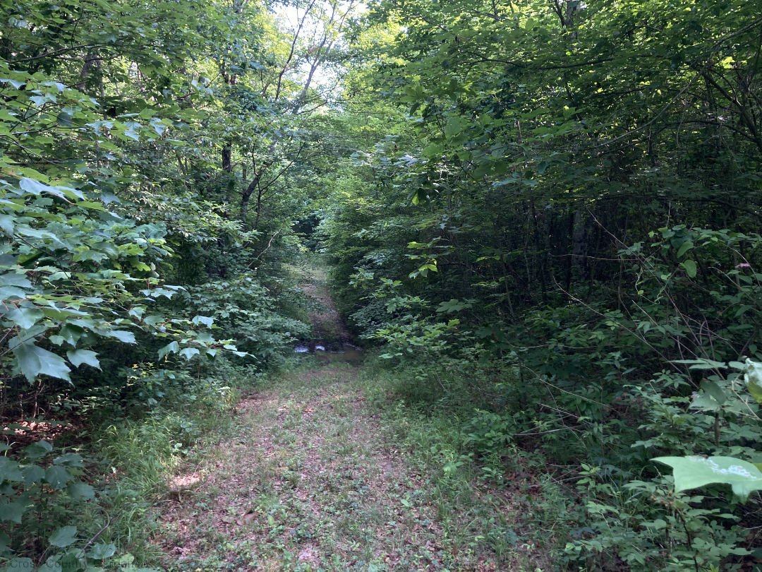 Western Boundary Trail